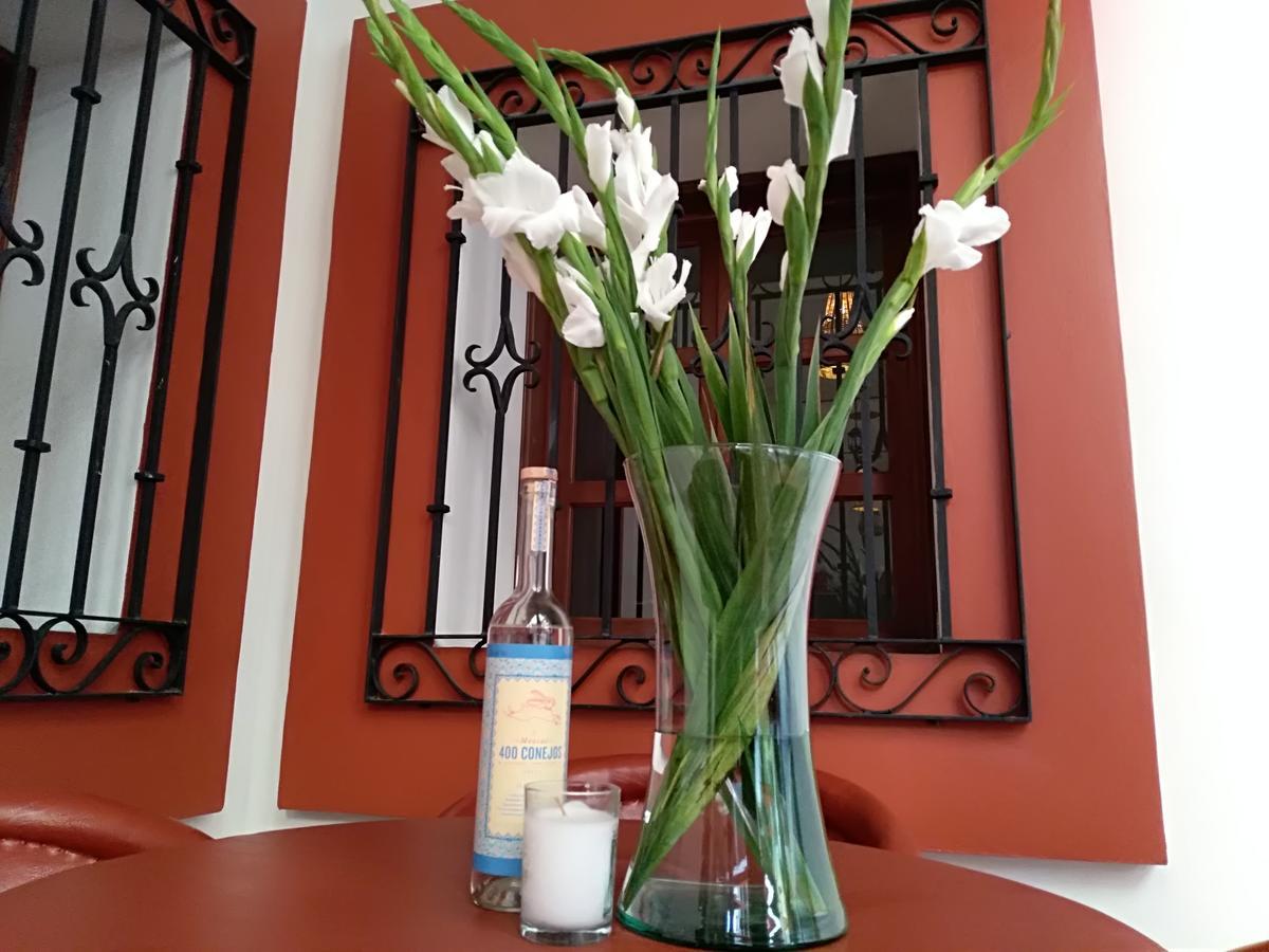 Bed and Breakfast Casa Agave Oaxaca Exterior foto